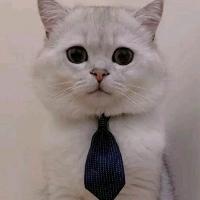 玄萧大白话