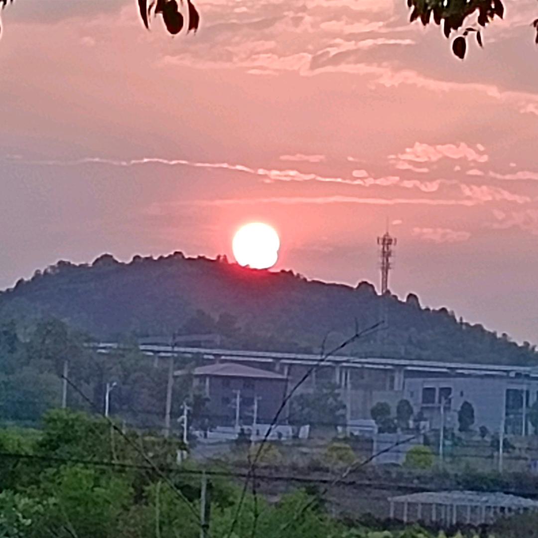 双峰北站烤全羊