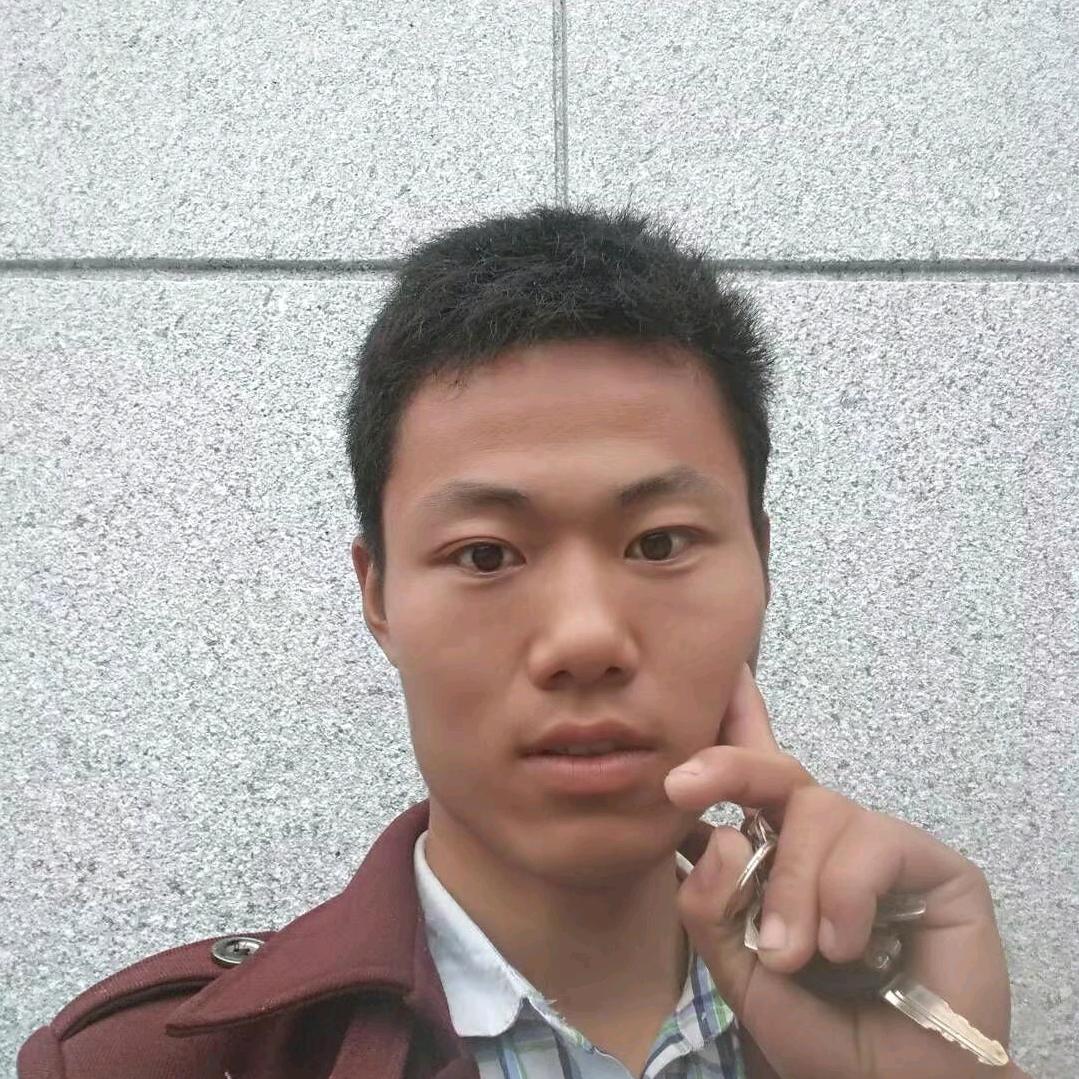 阳光总在风雨后