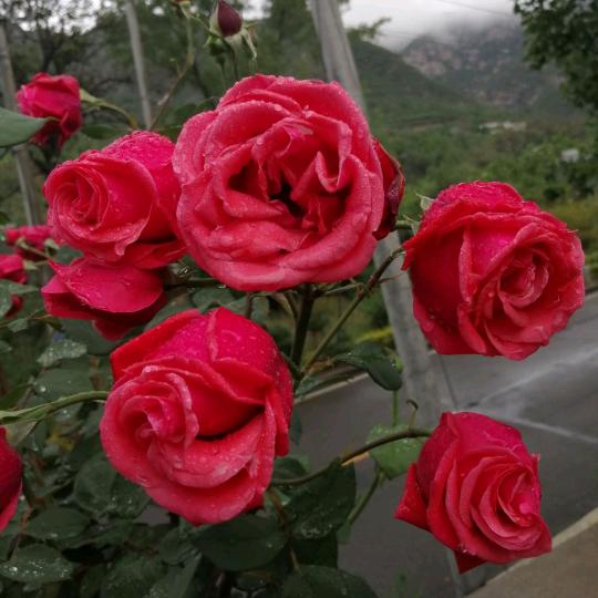 天然健康调理中心