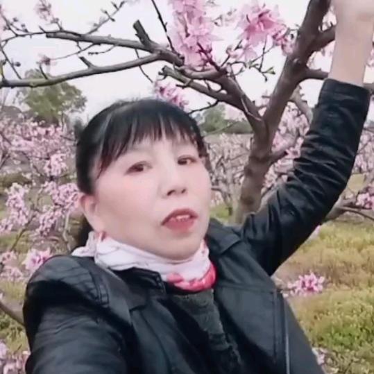 罗胡子果园梅姐