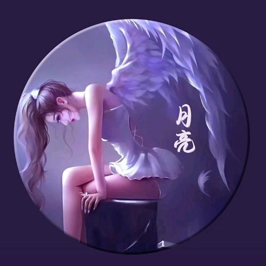 🌙月亮🌙