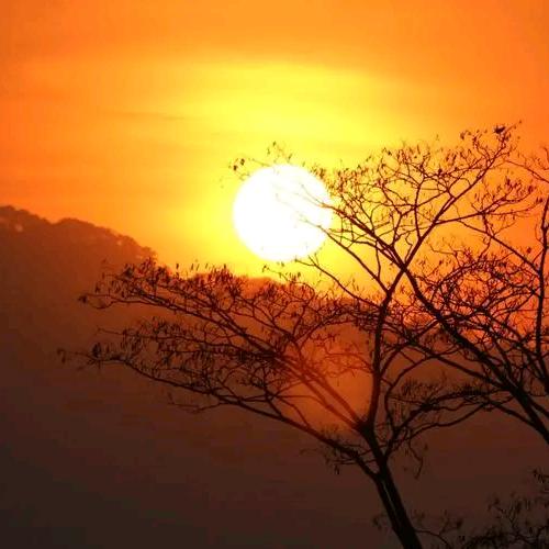 拉着主播去卖艺