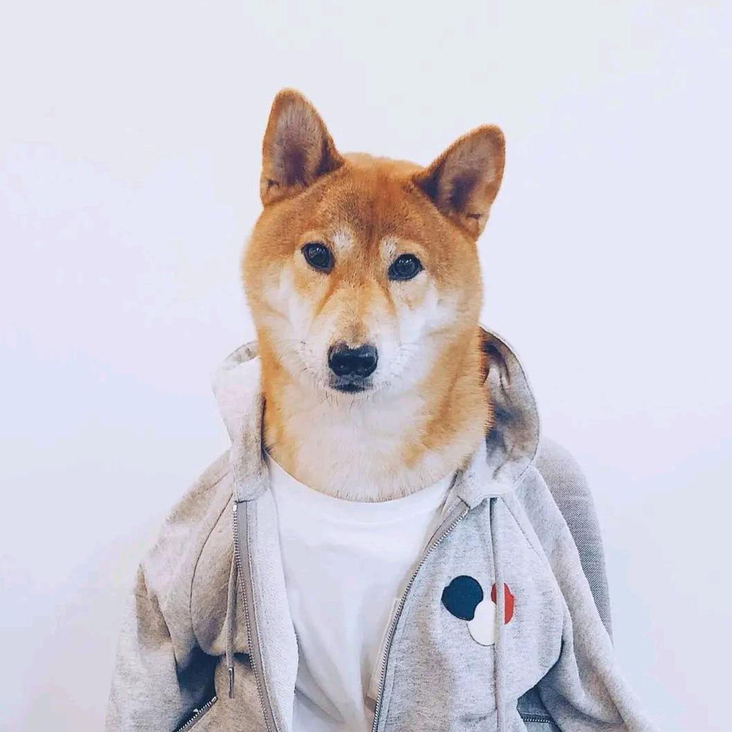 一个迷人的混蛋~