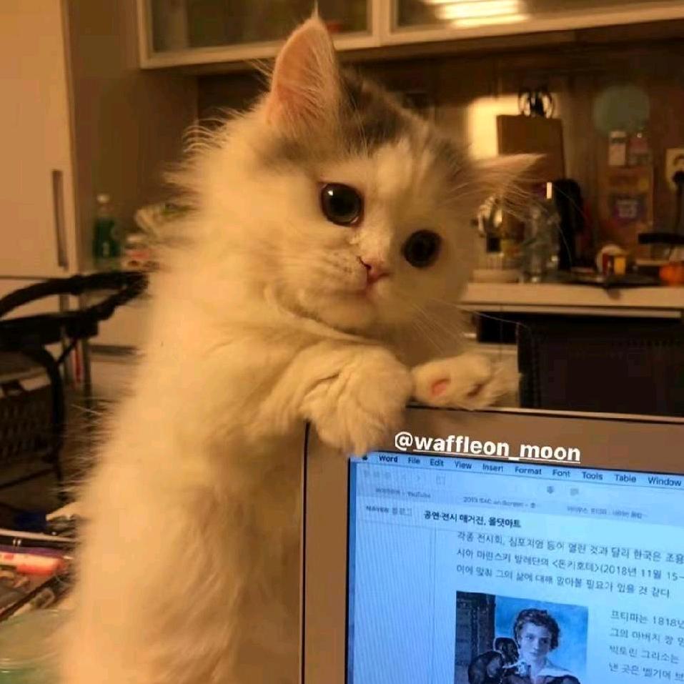 寧