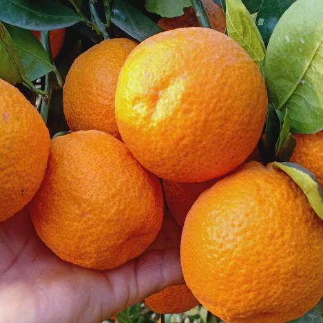 老张货运部。全国调车