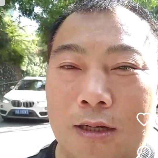 金丝猴