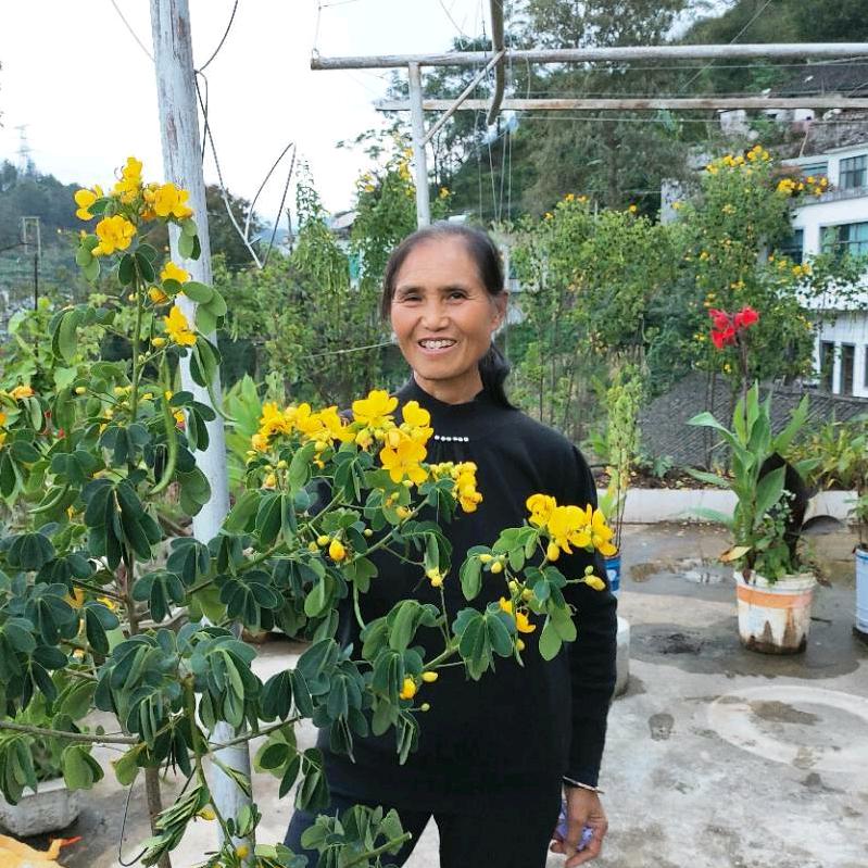 永不言败（英）