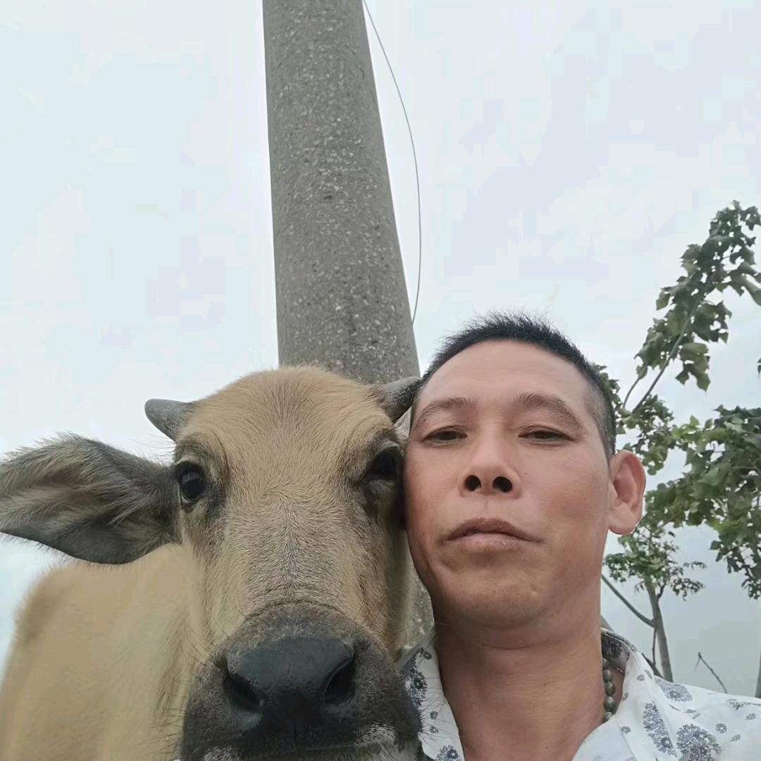 牛哥
