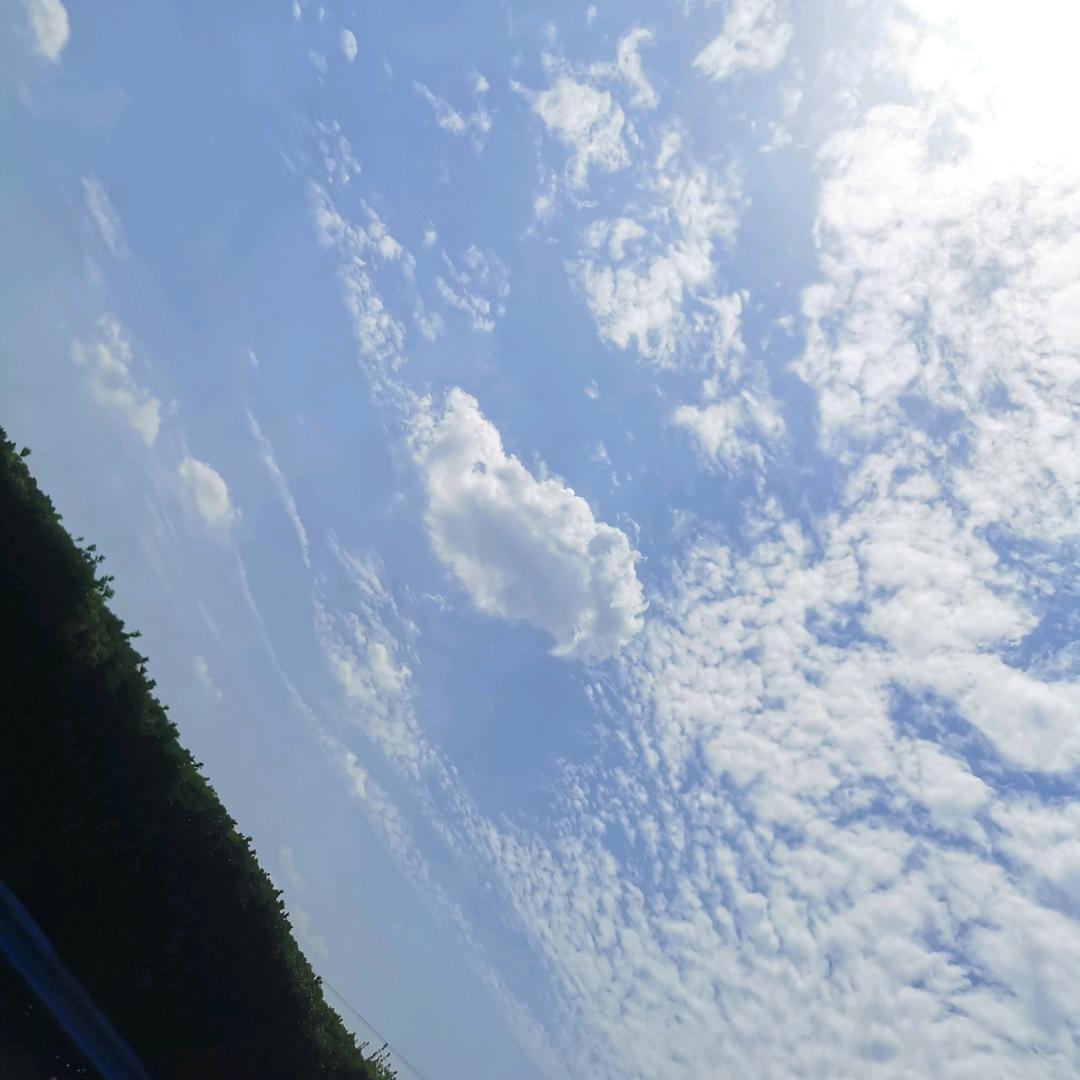 余生请多指教