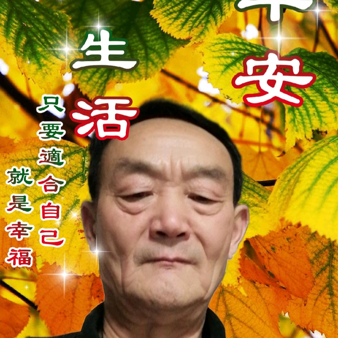梦羿