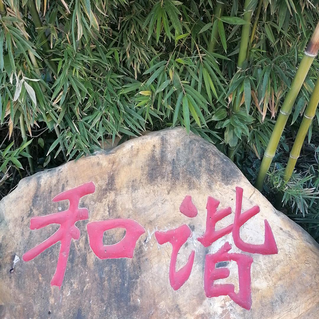 和谐