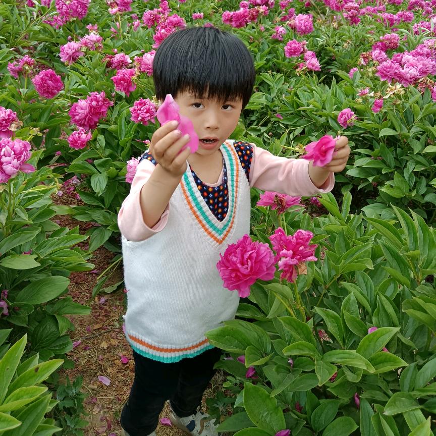 图你好看咯里