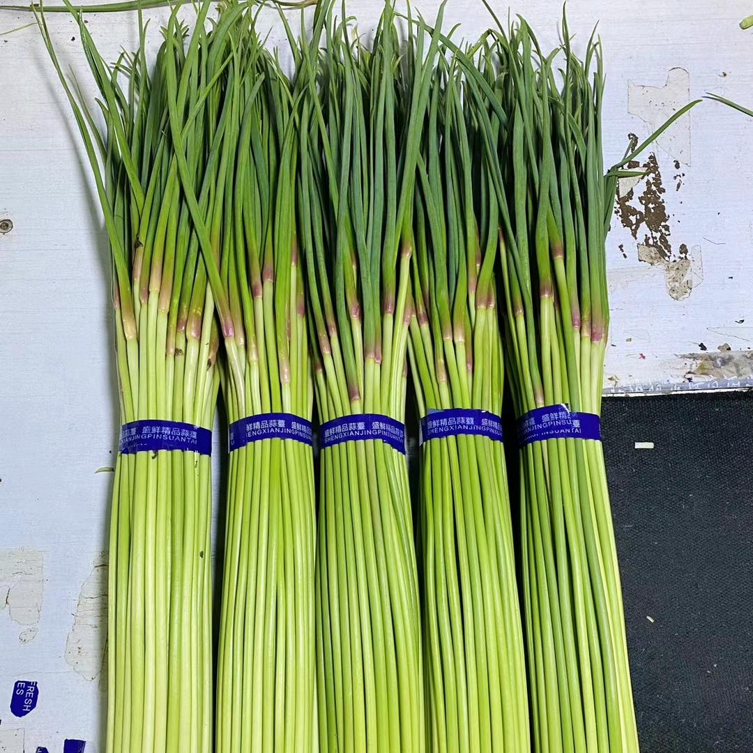 邳州润鑫大蒜蒜苔.物流信息部