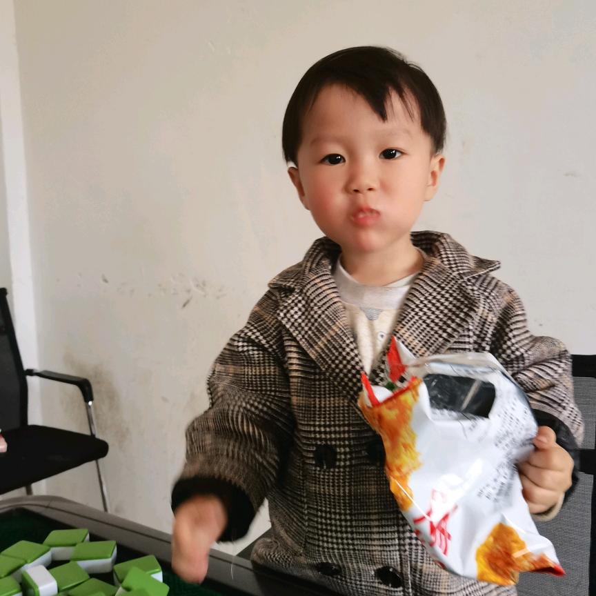 飞鸟独行
