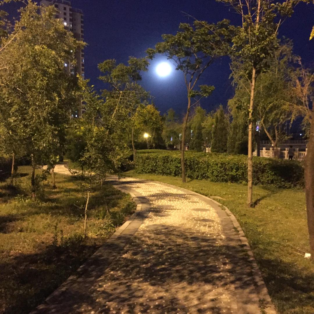 清雾扰山河