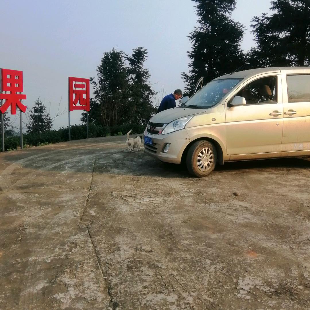 用户1120656996931伟