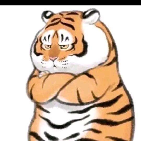 不要刁难我胖虎