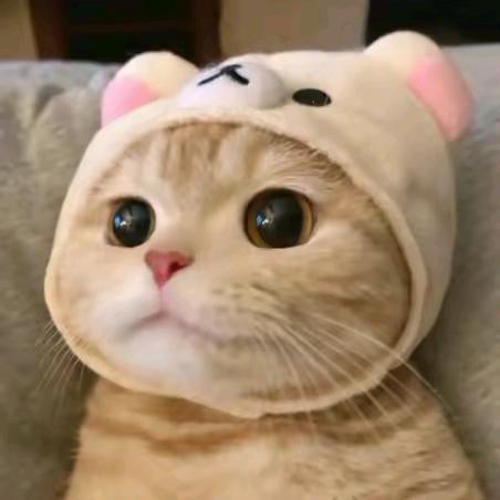 亮亮      ╲