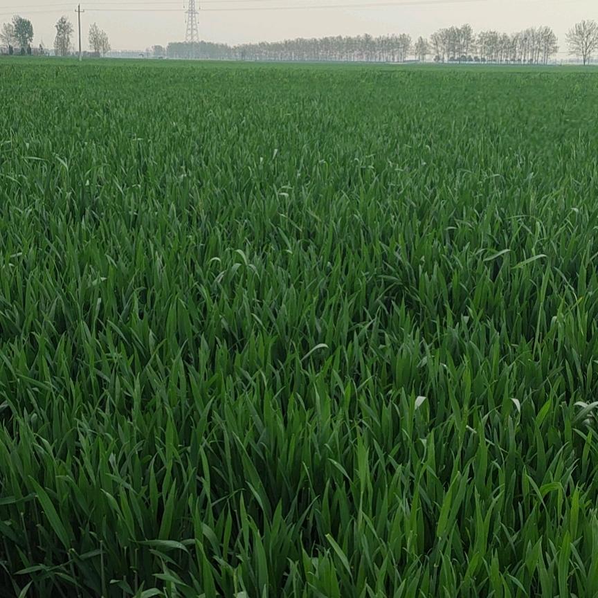 积德行善🙏一生平安🙏