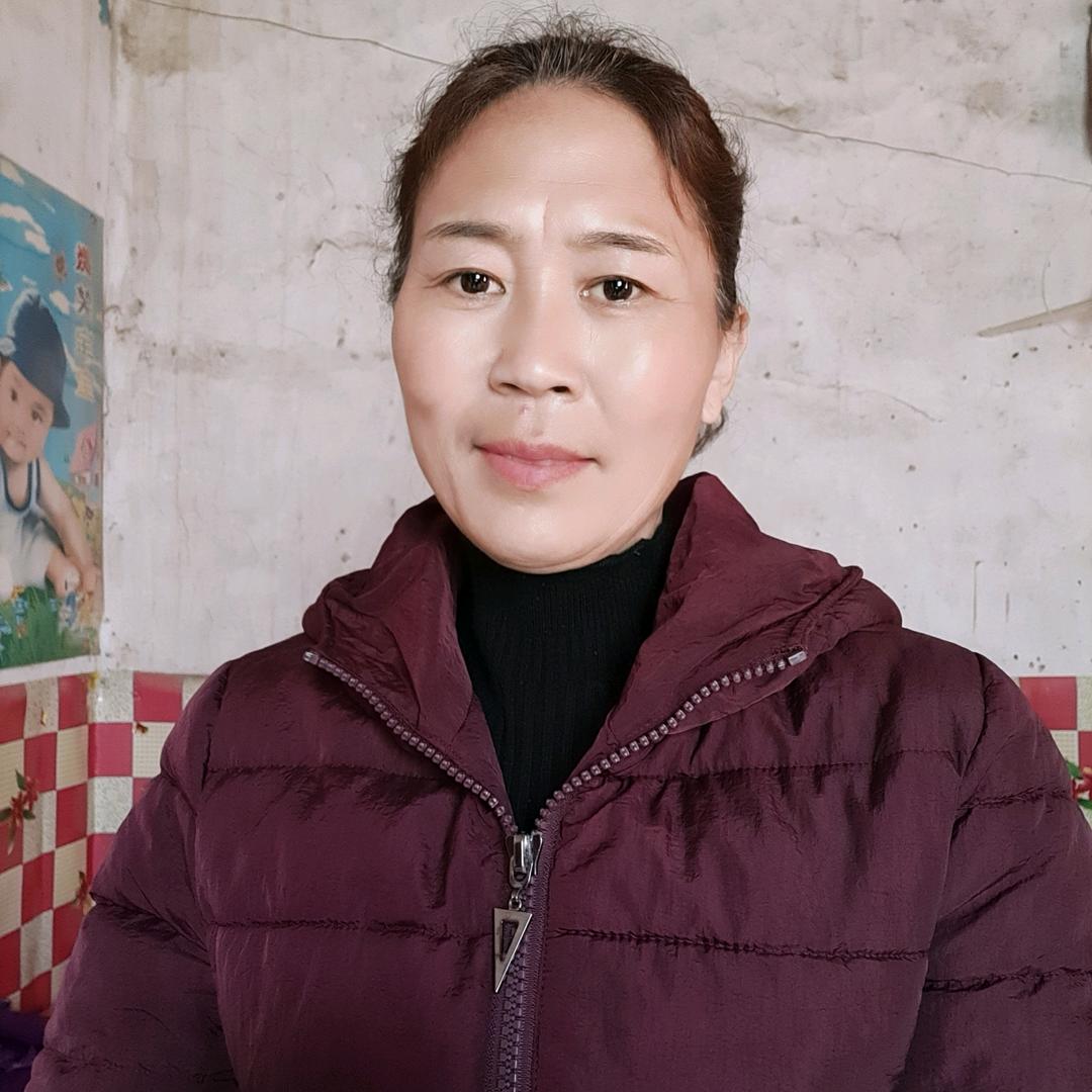 河南梅姐