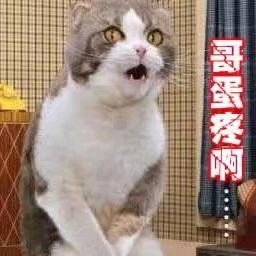 - 情绪作怪。