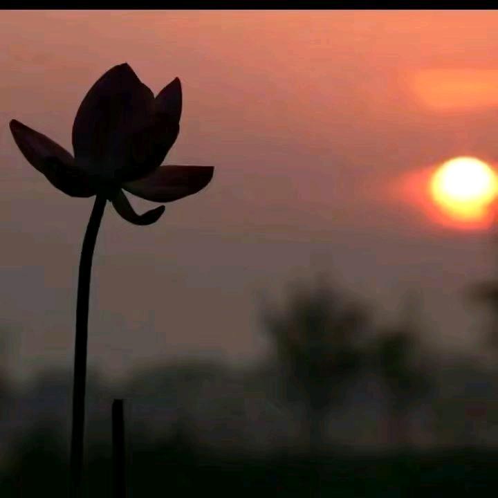 ٩(￥A￥)۶恭喜发财