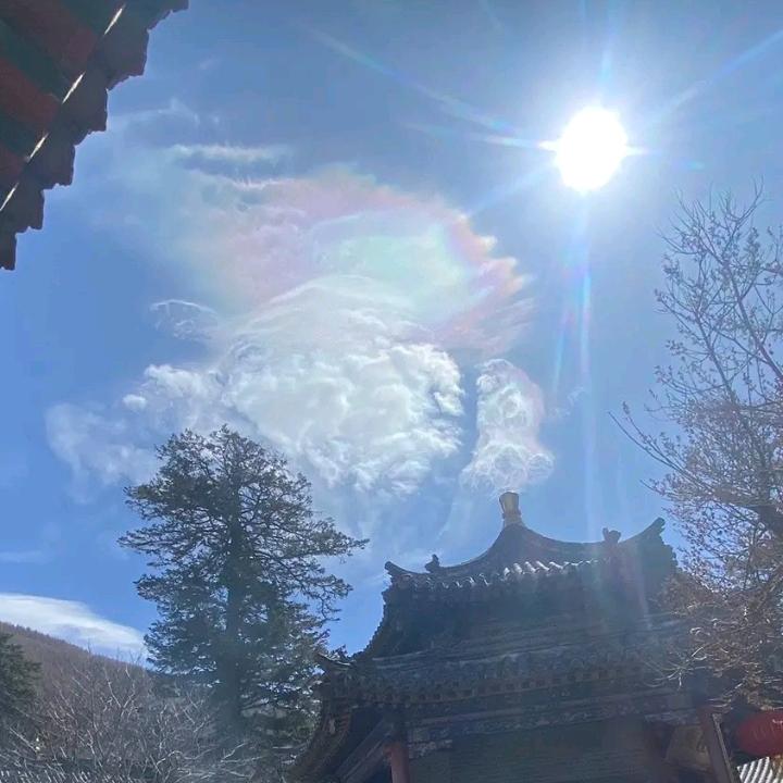 阿升不会做饭