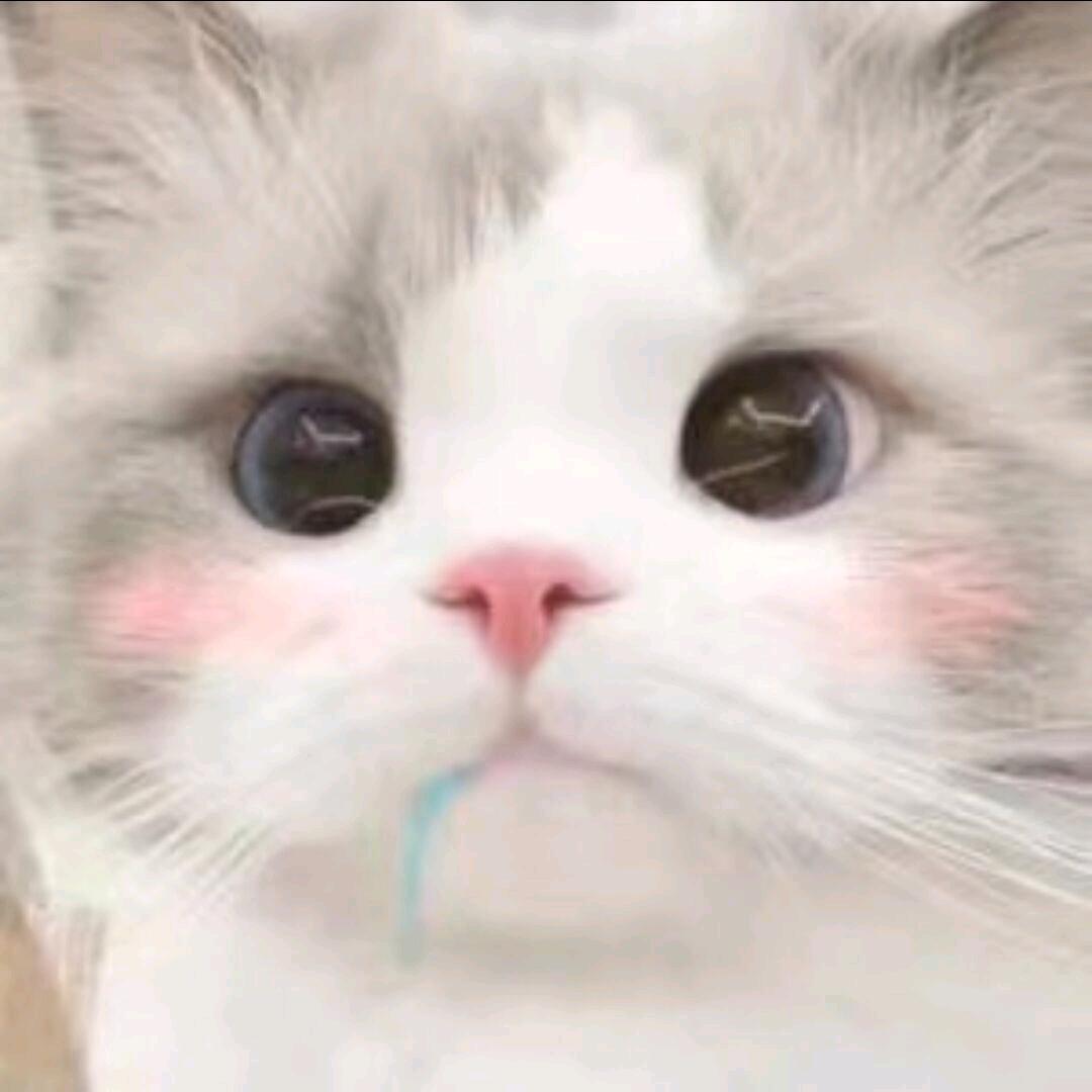 不如吃饭睡觉