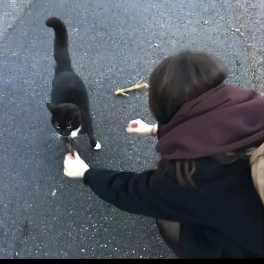 水餃