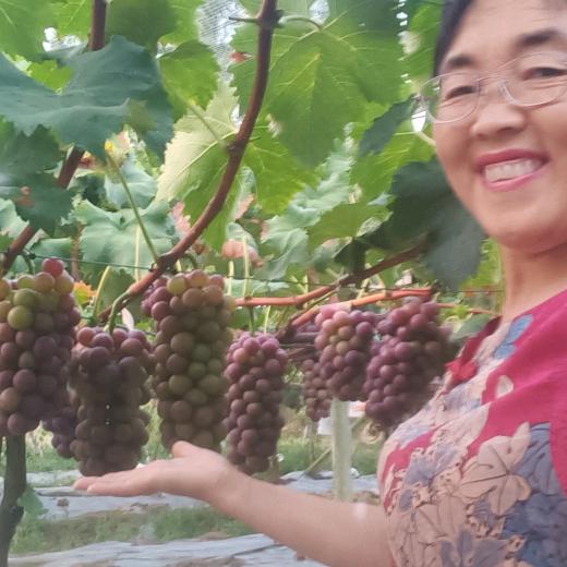 汉中市南郑区红庙镇培恒家庭农场