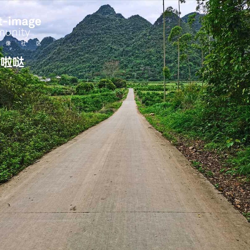 坎坷人生路