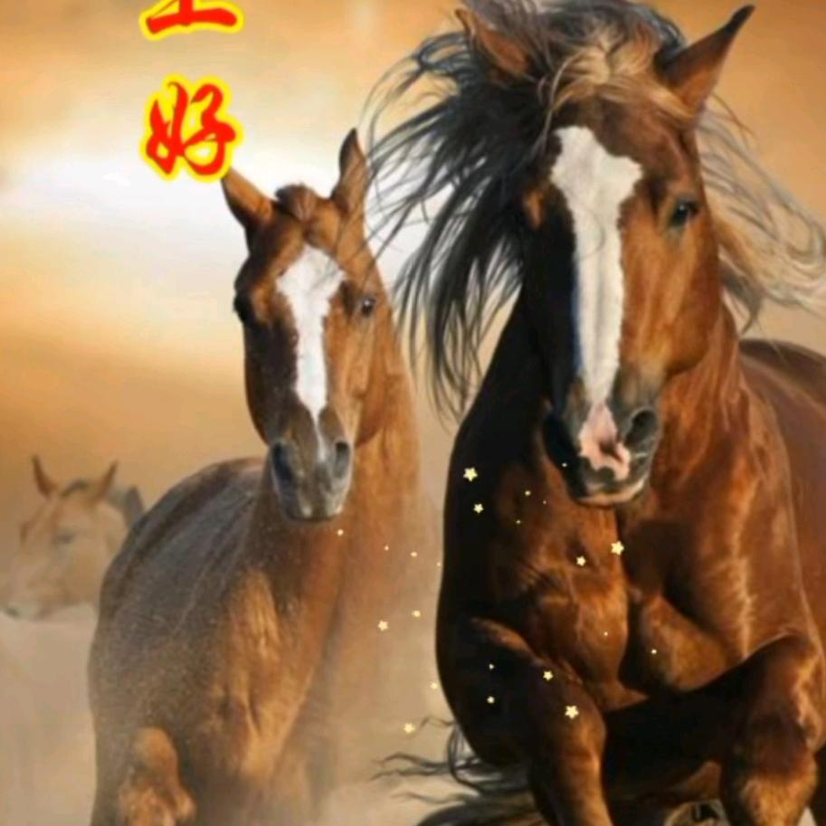 清风🇨🇳依然