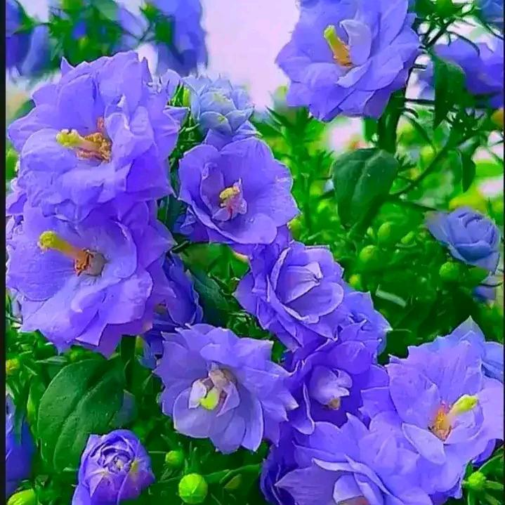 用户 知足者常乐