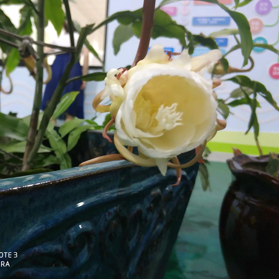 🌈取个什么名字好呢