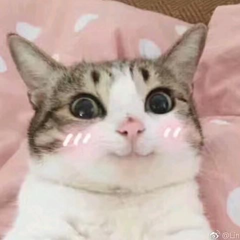 dy2fcnnmy0qh