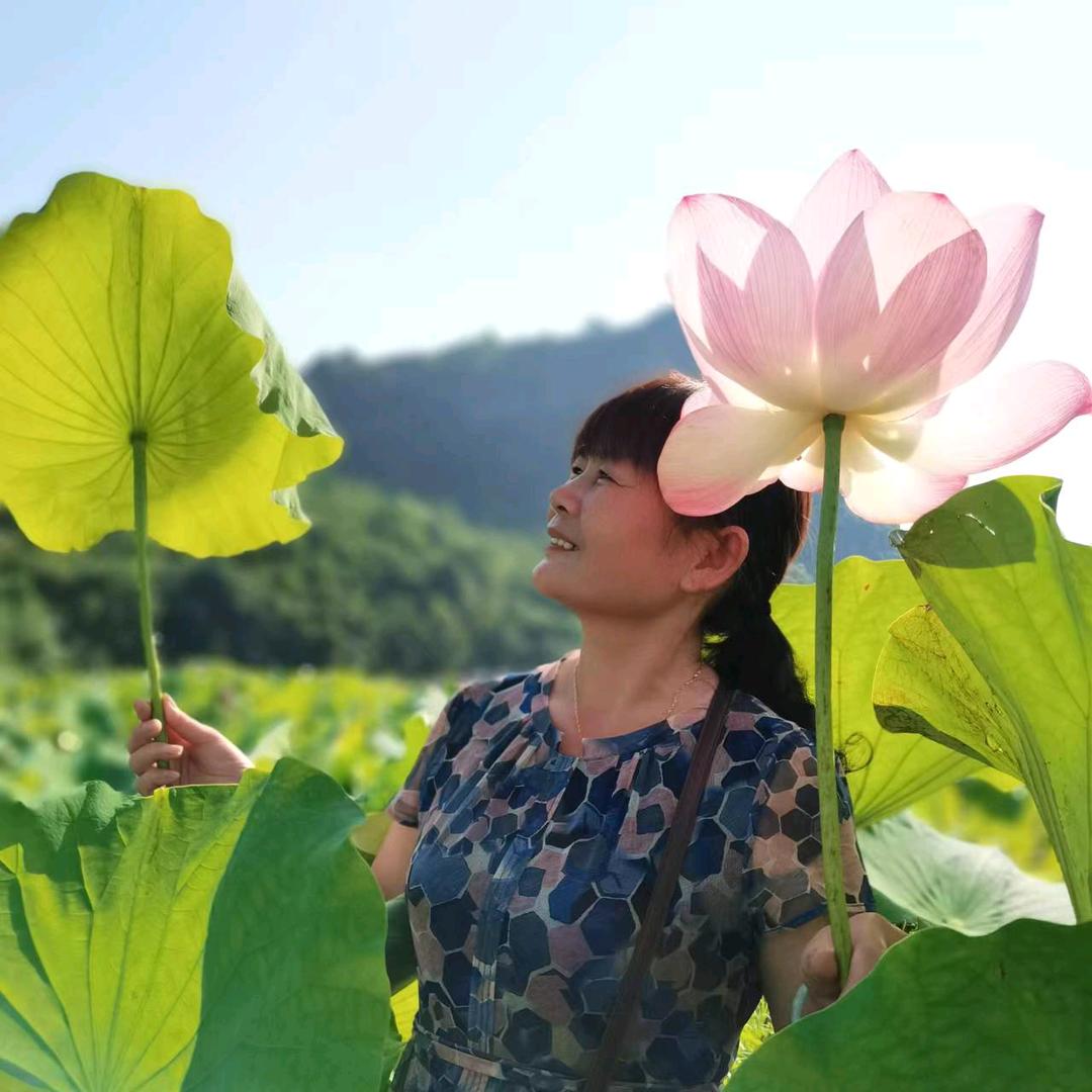 野百合