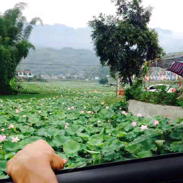 🐍雨过天晴