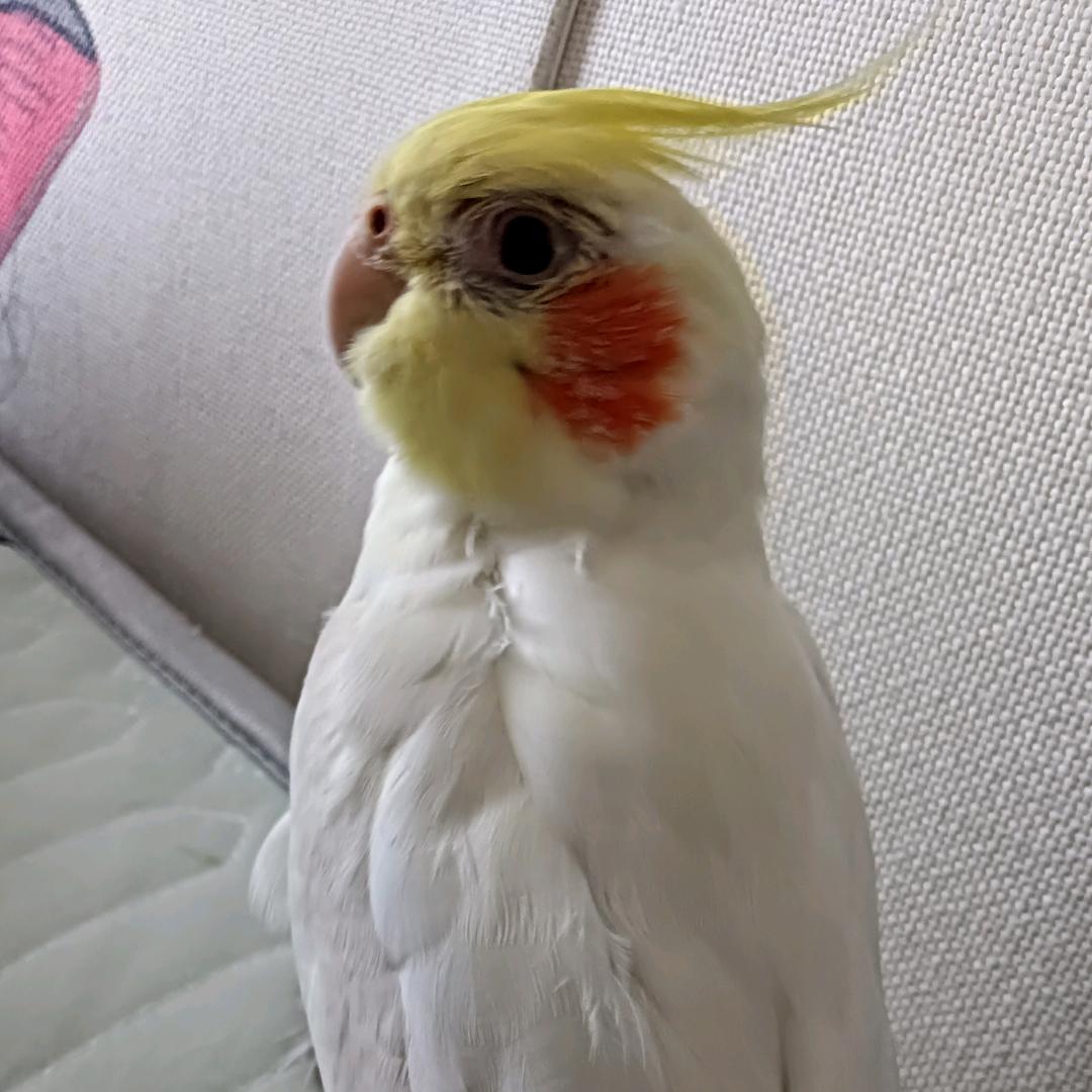 麻辣烫吧