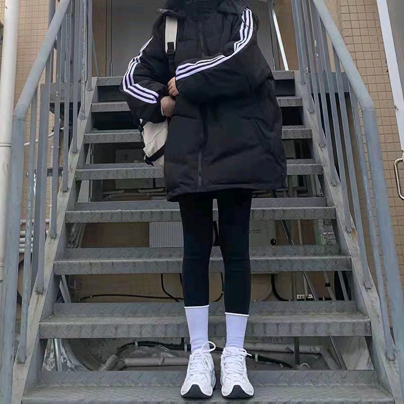 小小菊🍊