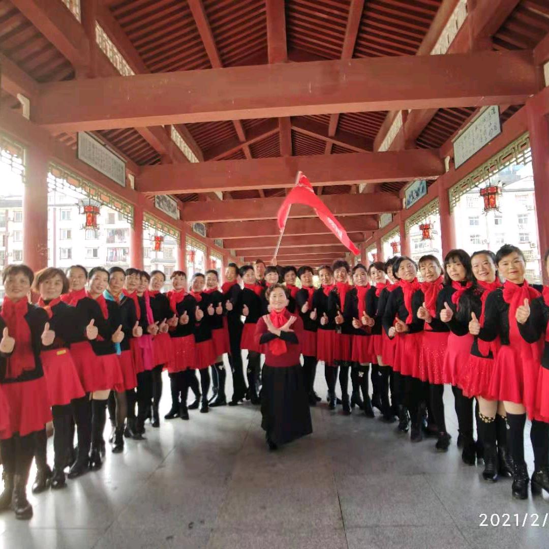 丽景苗木