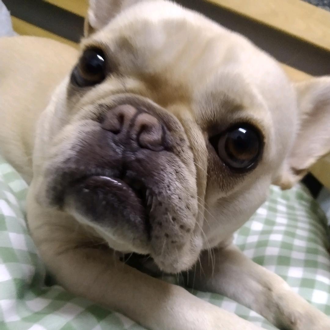 长久门窗厂