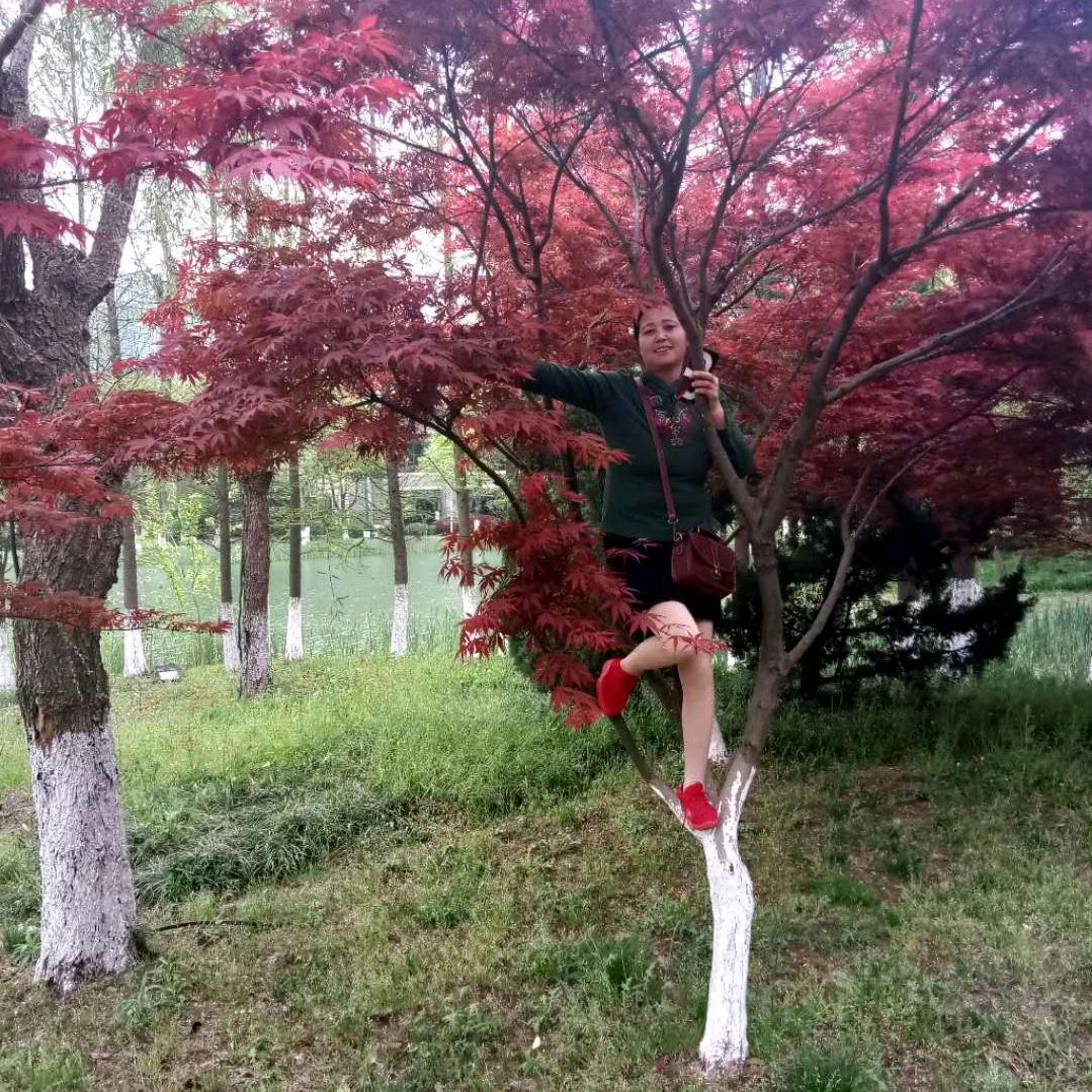 打不倒的小强