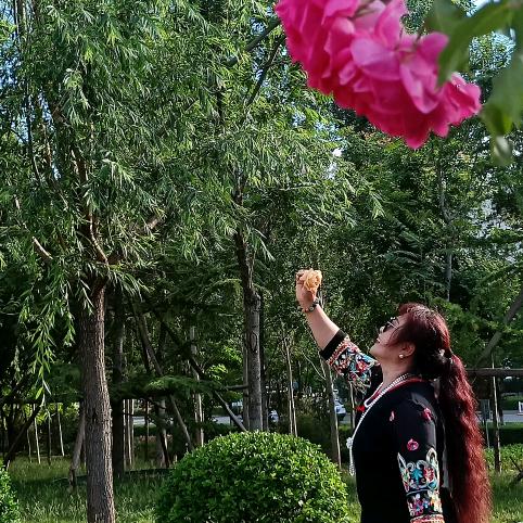 四季花语