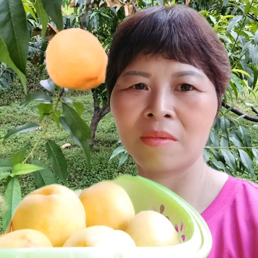 新农人辉兰