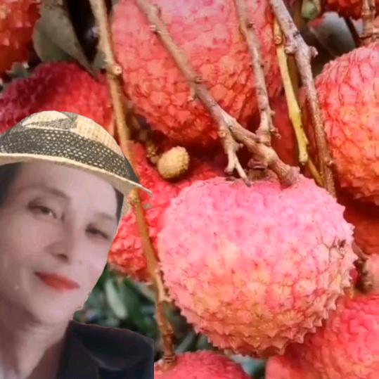 荔乡陈大叔{关赞必回