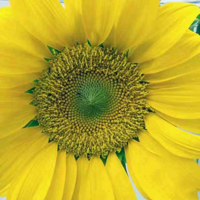 青春配方驿站.红洛伊女鞋