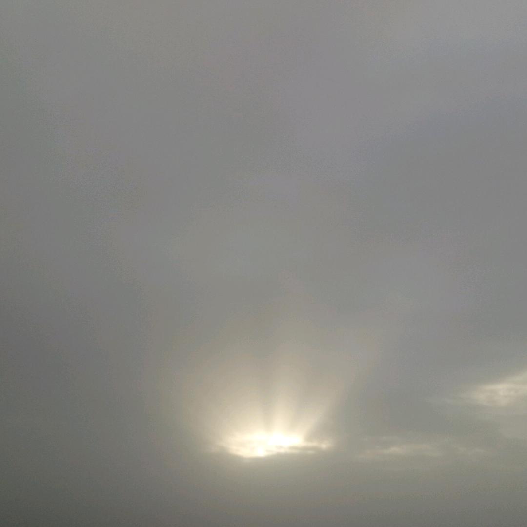 L Y 003