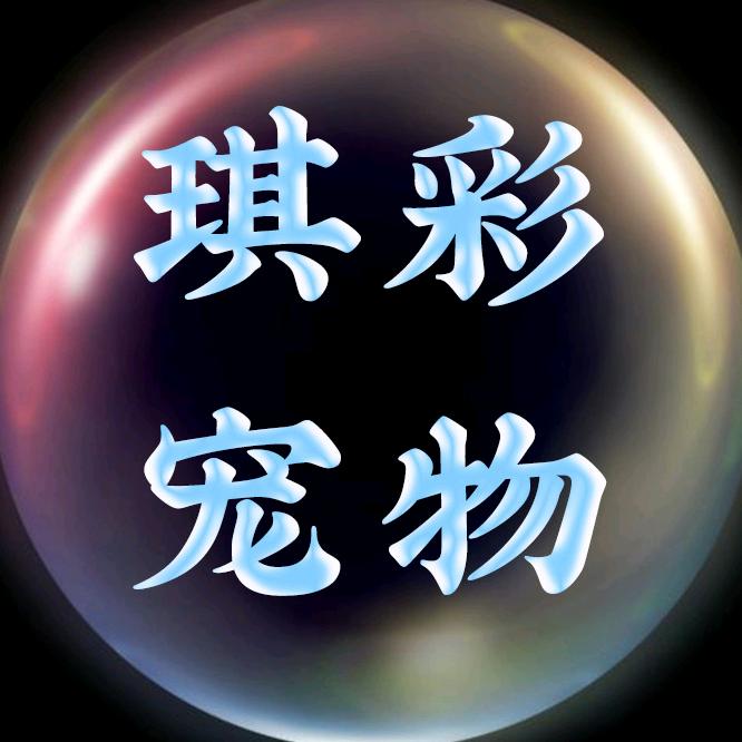 琪彩宠物