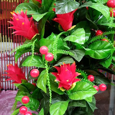 山茶花